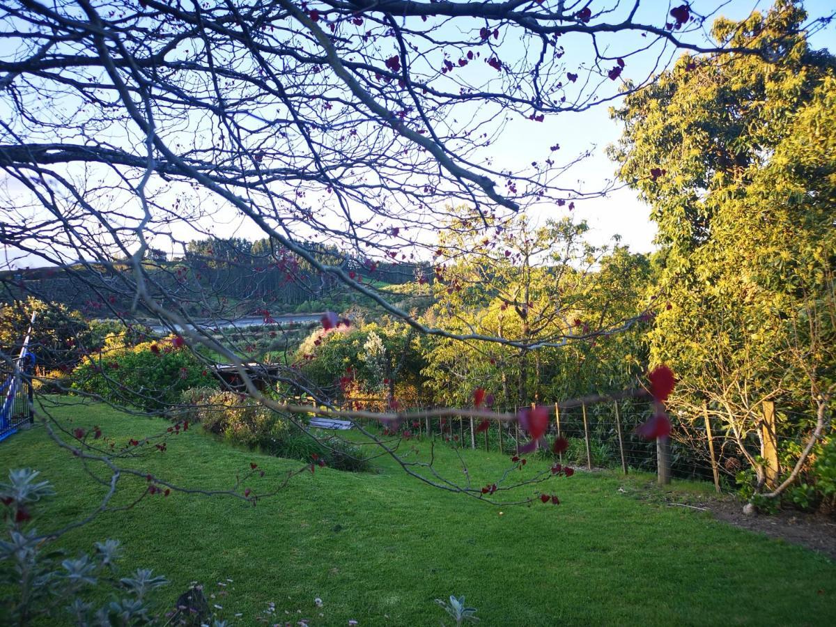 River Side Lodge Whakamarama Extérieur photo