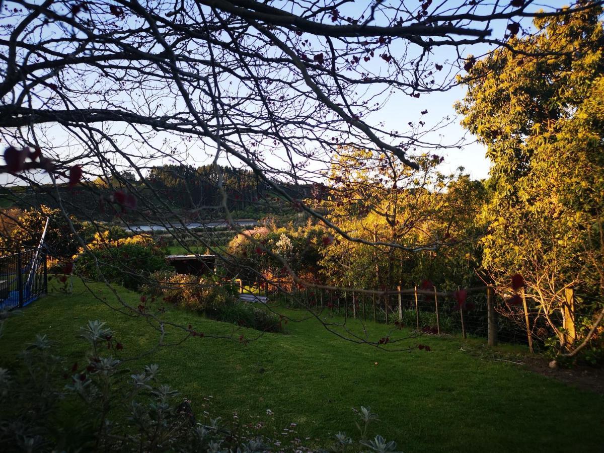 River Side Lodge Whakamarama Extérieur photo